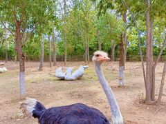 -大连森林动物园