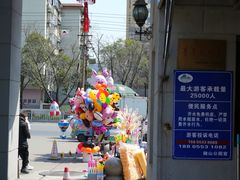 -赭山公园