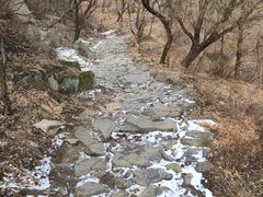 -阳台山自然风景区
