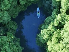 -动邦皮划艇·桨板·独木舟·团建户外运动俱乐部