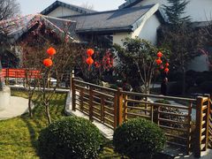 -楼观道温泉酒店