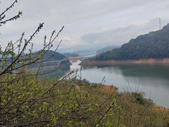 -广州市流溪河国家森林公园