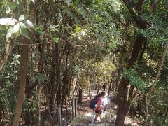 -广州市石门国家森林公园