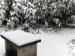 -陕西师范大学(雁塔校区)