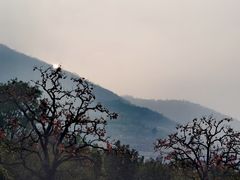 -秦岭风景区
