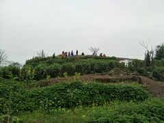 -重庆平顶山公园