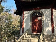 -上海佘山国家森林公园天马山园