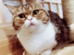 -小时光咖啡馆(开森度假森林店)