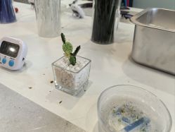 -烬·烧玻璃diy灯工玻璃艺术·银饰工作室