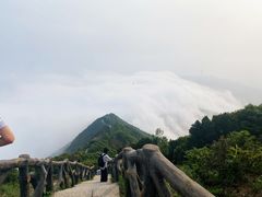 -梧桐山风景名胜区
