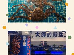 -驻海渔市(置信店)