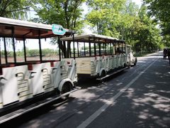 -泗洪洪泽湖湿地景区