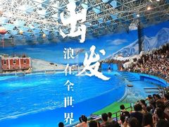 -海合安青岛极地海洋公园