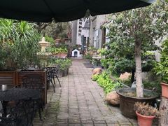 -more than meow吴止猫主题餐厅(承德 中船汇店)