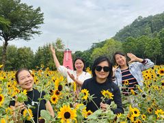 -东坊味道私房菜·地道顺德菜(大良店)