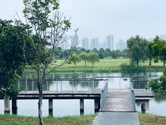 -洋湖国家湿地公园