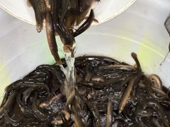 -铜元老码头鳝鱼火锅