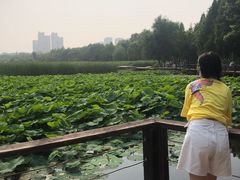 -前关湿地公园