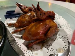 -石岐乳鸽村(南海第三分店)