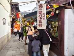 -猫的魔法密林(衣裳街店)