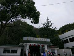 -上海佘山国家森林公园西佘山园