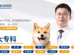 -芭比堂动物医院·24小时·眼科中心(深圳中心)