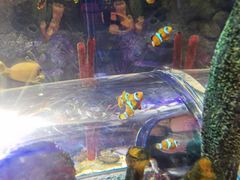 -沈阳海洋探索中心