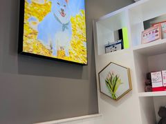 -关爱宠物医院·猫科中心·消化科(滨湖万达分院)