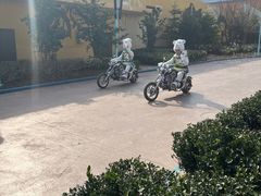 -上海海昌海洋公园