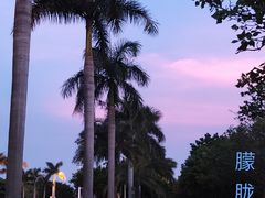 -黄金海岸环岛路