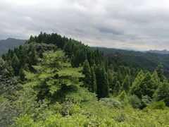 -山王坪喀斯特国家生态公园