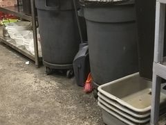 -虾小龙老长沙龙虾馆(坡子街店)