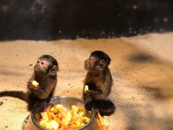 -酷嗒动物文化乐园(cutezoo西溪乐天城店)