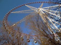 -哈尔滨文化公园