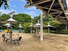 -长广溪湿地公园