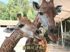 -泉州海丝野生动物世界