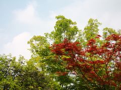 -南山植物园