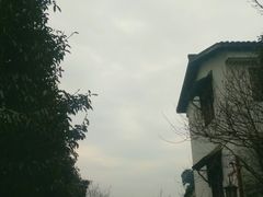 -西湖风景区十里琅珰-五云山