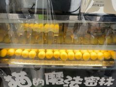 -猫的魔法密林(衣裳街店)
