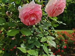 -上海交通大学(闵行校区)