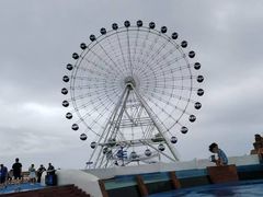 -秦皇岛乐岛海洋王国