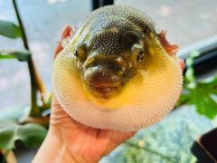 -永安鱼庄·镇江菜(东吴路店)