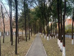 -哈尔滨大剧院