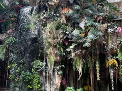 -正佳雨林生态植物园