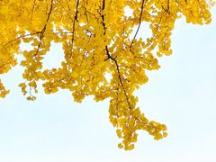 -一个勺子新疆锡伯主题私房菜(红墙巷49号院店)