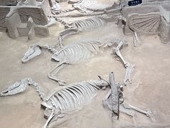 -洛阳周王城天子驾六博物馆