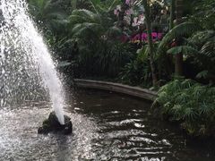 -北京植物园-展览温室