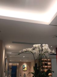 点击看大图 -Yestar 嘉兴艺星医疗美容医院