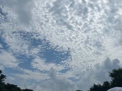 -济州森林小火车生态公园