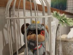 -秀儿家の小确幸花园西餐厅